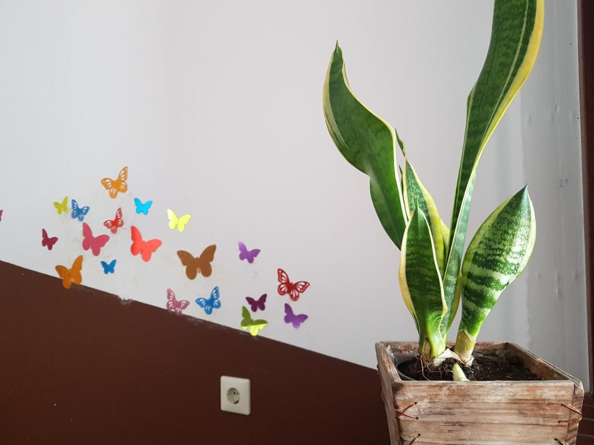 Penthouse Backpackers Hostel ออสนาบรึค ภายนอก รูปภาพ